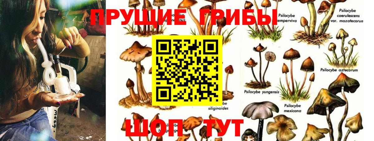 где можно купить наркотик  Вход с VPN  Ханты-Мансийск  Галлюциногенные грибы мицелий 